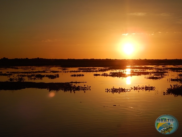 PIRA LODGE - Pantanal Argentino - Temporada 2.016